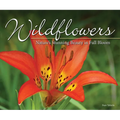 Wildflowers: Nature's Stunning Beauty on Display - Paperback
