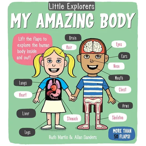 Little Explorers: My Amazing Body - Board Book
