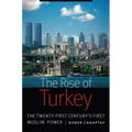 Rise of Turkey: The Twenty-First Century's First Muslim Power - Hardcover