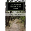 A Spiritual Place Called Next: The place you go to when things don't turn out the way you thought - Paperback