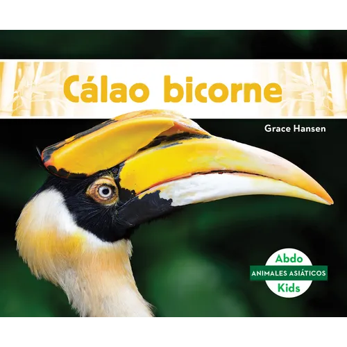 Calao Bicorne (Great Hornbills) - Library Binding