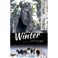 Winter with Horses - Paperback