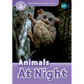 Read and Discover Level 4 Animals at Night - Paperback