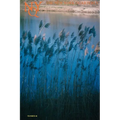 The New York Quarterly, Number 48 - Paperback