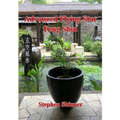 Advanced Flying Star Feng Shui - Paperback