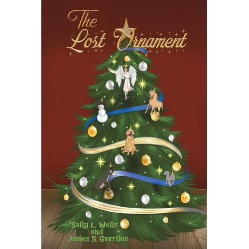 The Lost Ornament - Paperback