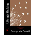A Rough Shaking - Paperback