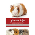 Guinea Pigs: How to care for your Guinea Pig and everything you need to know to keep them well - Paperback