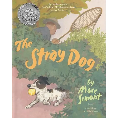 The Stray Dog: A Caldecott Honor Award Winner - Paperback