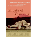 Ghosts of Vesuvius: A New Look at the Last Days of Pompeii, How Towers Fall, and Other Strange Connections - Paperback