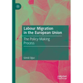 Labour Migration in the European Union: The Policy-Making Process - Paperback