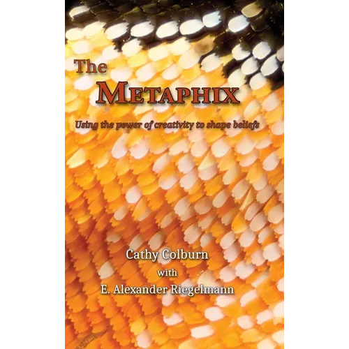 The Metaphix: Using the power of creativity to shape beliefs - Hardcover