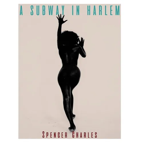 A Subway In Harlem - Paperback