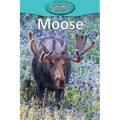 Moose - Paperback
