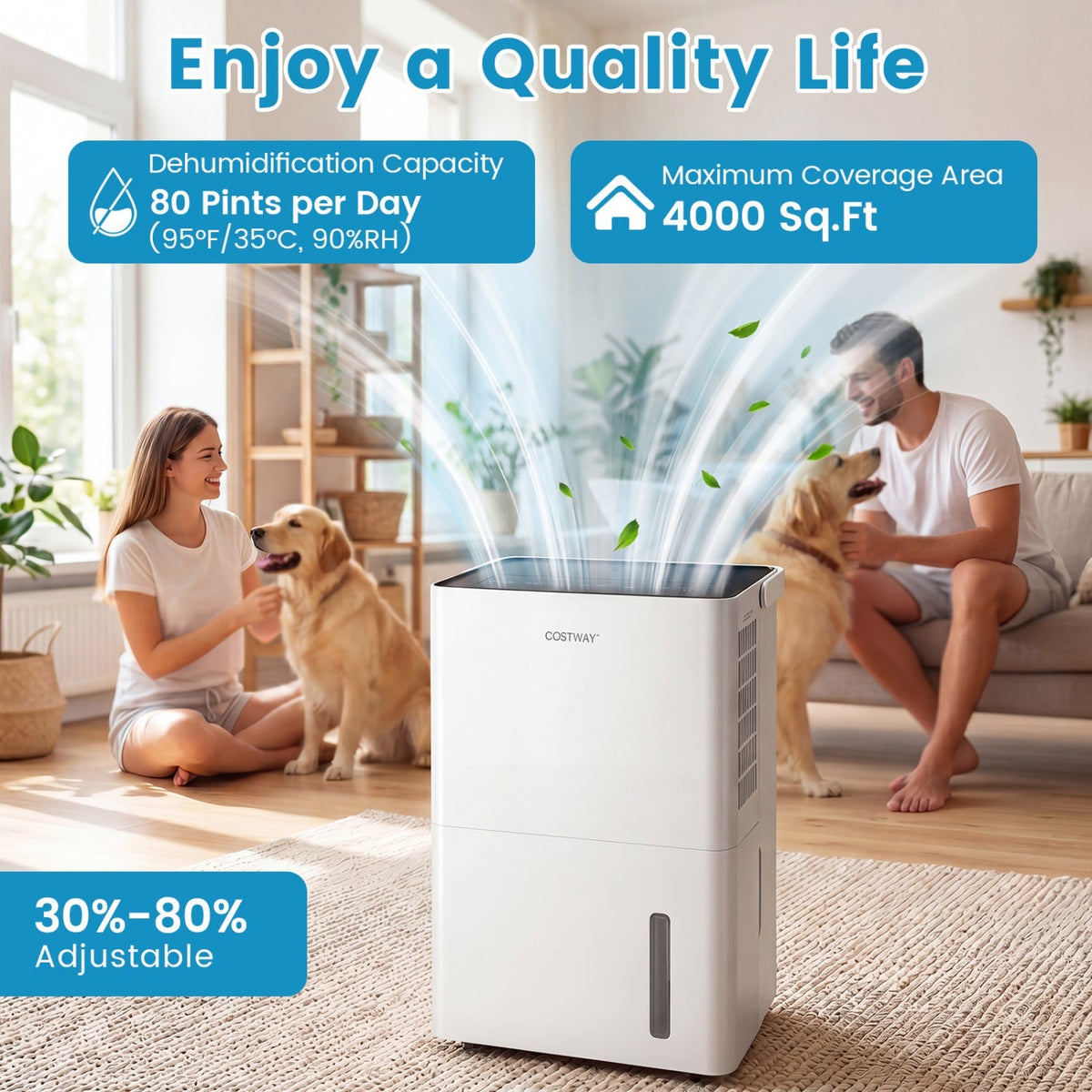 80 Pint Dehumidifier with Drain Hose & Smart Control