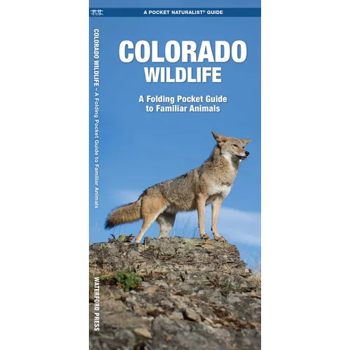 Colorado Wildlife: An Introduction to Familiar Species