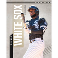Chicago White Sox - Library Binding