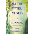 All the Water I've Seen Is Running - Paperback