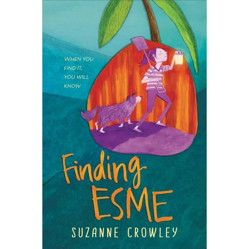 Finding Esme - Hardcover
