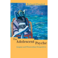 The Adolescent Psyche: Jungian and Winnicottian Perspectives - Paperback