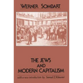 The Jews and Modern Capitalism - Paperback