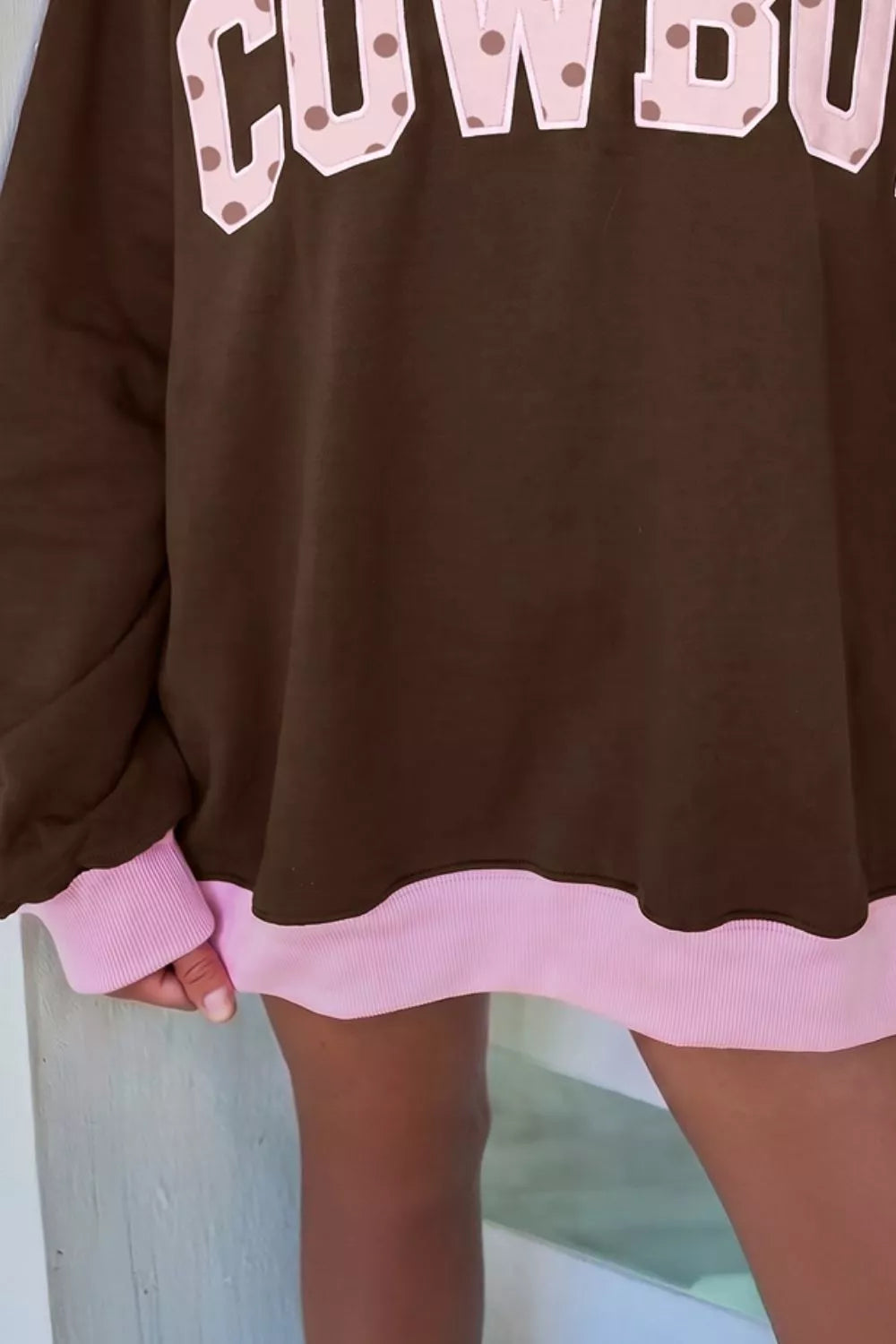 Colorblock Trim Crewneck Long Sleeve Sweatshirt