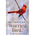 Have You Ever Seen A Worried Bird? - Paperback