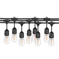 15 String Light With LED Bulbs