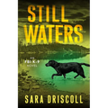 Still Waters: A Riveting Novel of Suspense - Paperback
