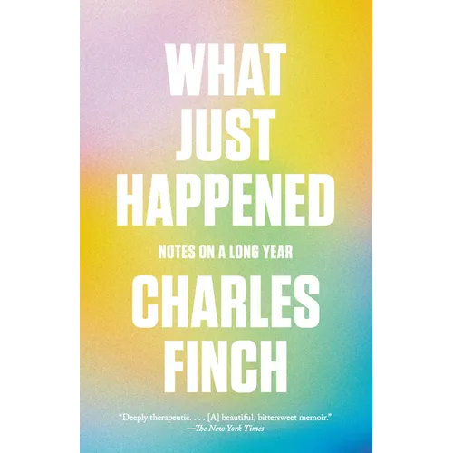 What Just Happened: Notes on a Long Year - Paperback