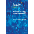 Phenomenology and Mathematics - Paperback
