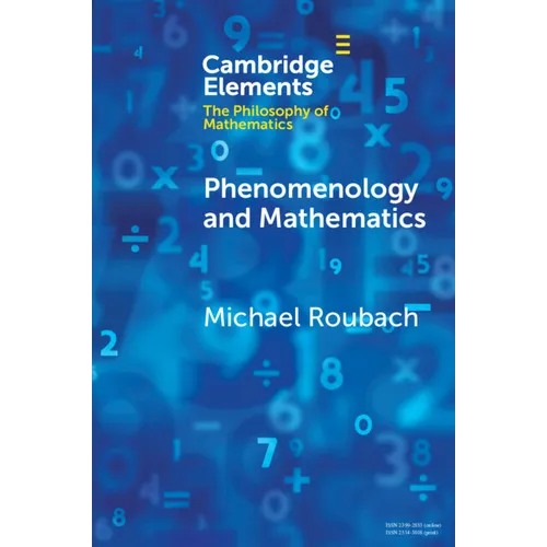 Phenomenology and Mathematics - Paperback