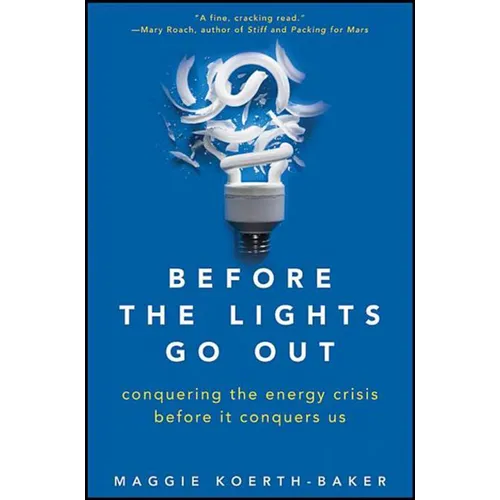 Before the Lights Go Out: Conquering the Energy Crisis Before It Conquers Us - Hardcover