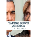 Taking Down America: the Destructive Policies of Barack Obama and Hillary Clinton - Paperback