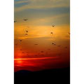 Sunset Flight: Beautiful - Paperback