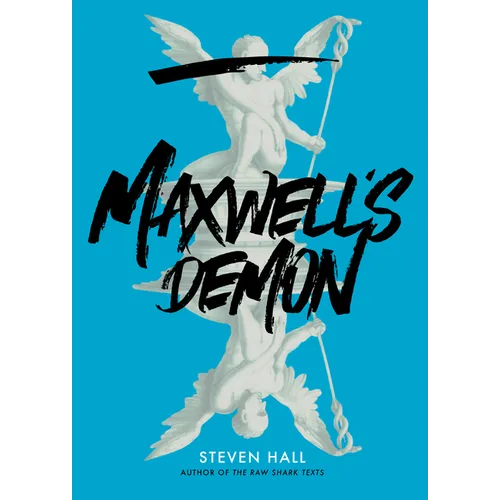 Maxwell's Demon - Hardcover