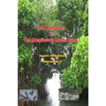 The Mangroves & The Manglicolous Marine Fungi - Paperback