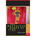 The Marvelous Bones of Time: Excavations and Explanations - Paperback