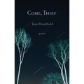 Come, Thief - Paperback