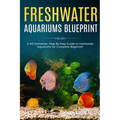 Freshwater Aquariums Blueprint: A NO-Nonsense, Step-By-Step Guide to Freshwater Aquariums for Complete Beginners - Paperback