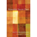 Remember You Are Dust - Hardcover