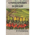 Gymnosperms in Sikkim - Paperback