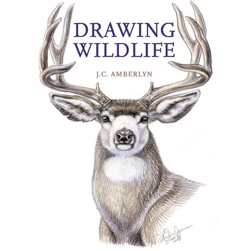 Drawing Wildlife - Paperback