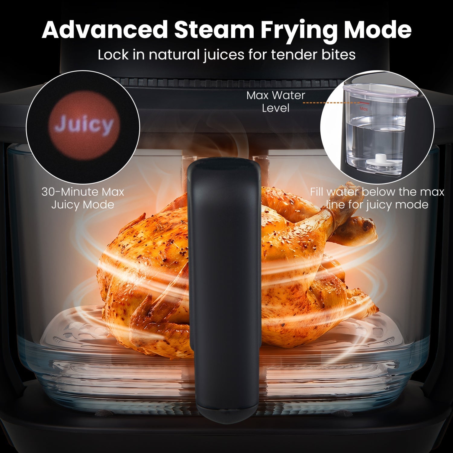 4.7 QT Glass Air Fryer with Steam Frying Mode