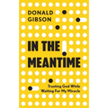 In the Meantime: Trusting God While Waiting For My Miracle - Paperback