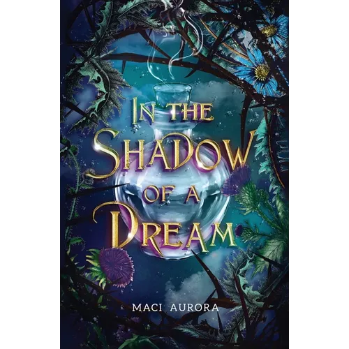In the Shadow of a Dream: Fareview Fairytale, book 3 - Paperback