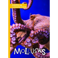 Mollusks - Library Binding