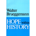 Hope Within History - Paperback