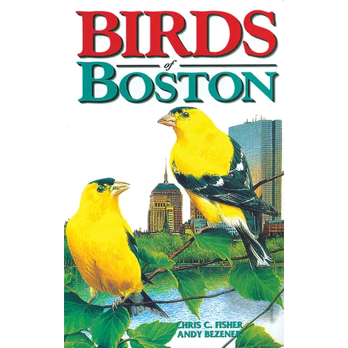 Birds of Boston - Paperback