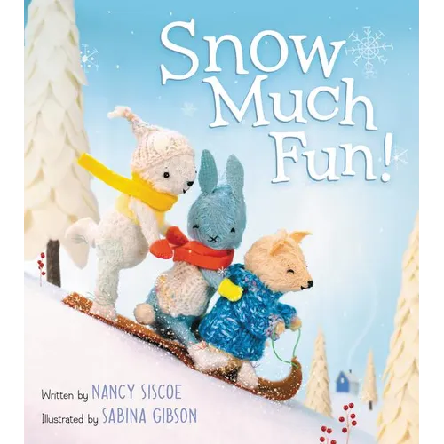 Snow Much Fun!: A Winter and Holiday Book for Kids - Hardcover